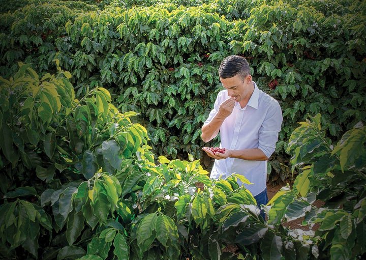 Brazilian - Sound Coffee