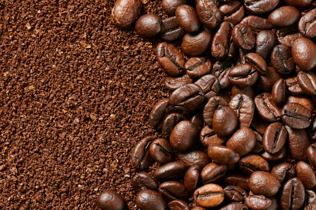 Whole Bean vs. Ground Coffee: Which Is Better for Your Daily Brew?