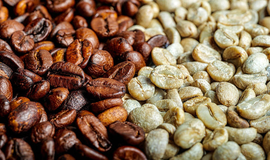 Light and Dark Roasts