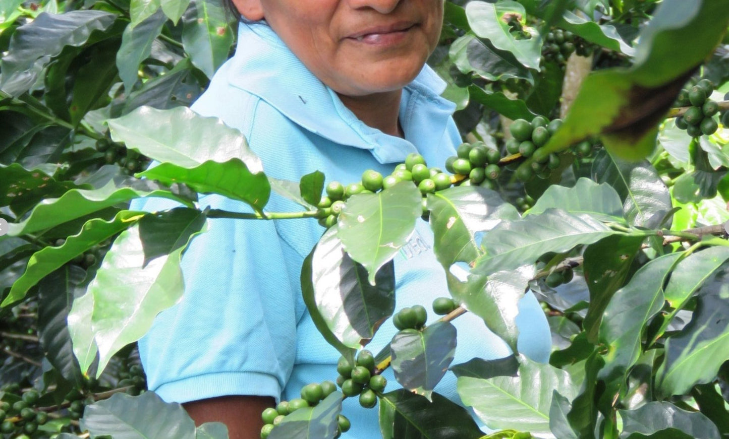 Honduran - Sound Coffee